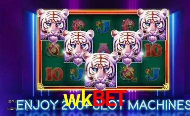 Estatísticas do Jogo wkbet